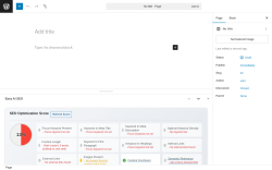 Page screenshot: Add Page ‹ Test site — WordPress