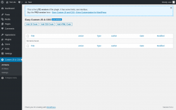 Page screenshot: Custom JS & CSS