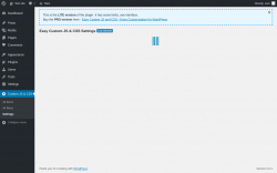Page screenshot: Custom JS & CSS &rarr; Settings