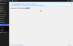 Page screenshot: Custom JS & CSS &rarr; Settings
