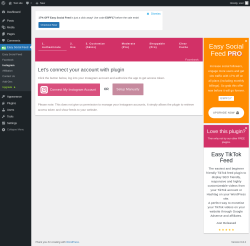 Page screenshot: Easy Social Feed → Instagram