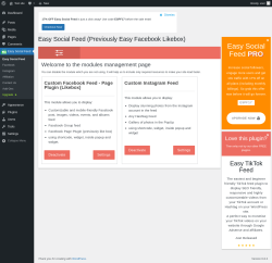 Page screenshot: Easy Social Feed