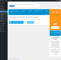 Page screenshot: Easy Social Feed → Facebook