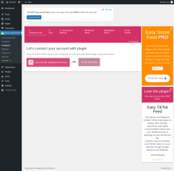 Page screenshot: Easy Social Feed → Instagram