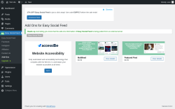 Page screenshot: Easy Social Feed → Add-Ons