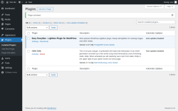 Page screenshot: Plugins &lsaquo; Test site &mdash; WordPress