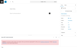 Page screenshot: Add Post ‹ Test site — WordPress