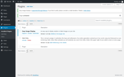 Page screenshot: Plugins &lsaquo; Test site &mdash; WordPress
