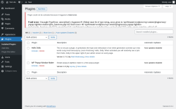 Page screenshot: Plugins &lsaquo; Test site &mdash; WordPress