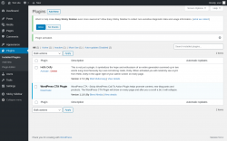 Page screenshot: Plugins &lsaquo; Test site &mdash; WordPress