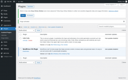 Page screenshot: Plugins &lsaquo; Test site &mdash; WordPress