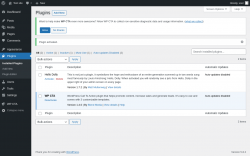 Page screenshot: Plugins &lsaquo; Test site &mdash; WordPress