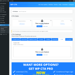 Page screenshot: WP CTA &rarr; Add New &rarr; 7.  CSS
