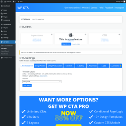 Page screenshot: WP CTA &rarr; Add New