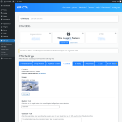 Page screenshot: WP CTA &rarr; Add New &rarr; 4.  Content