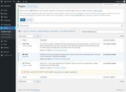 Page screenshot: Plugins &lsaquo; Test site &mdash; WordPress