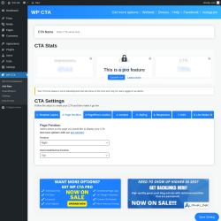 Page screenshot: WP CTA &rarr; Add New &rarr; 2.  Page Position