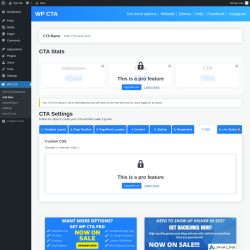 Page screenshot: WP CTA &rarr; Add New &rarr; 7.  CSS