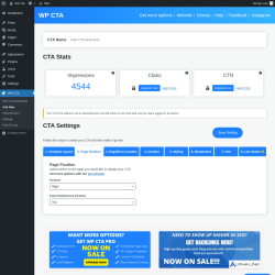 Page screenshot: WP CTA &rarr; Add New &rarr; 2.  Page Position