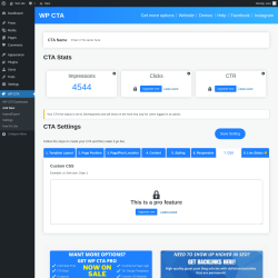 Page screenshot: WP CTA &rarr; Add New &rarr; 7.  CSS