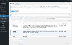 Page screenshot: Plugins &lsaquo; Test site &mdash; WordPress