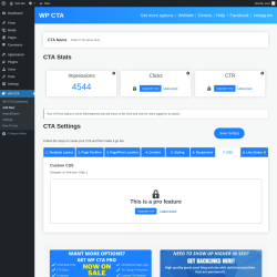 Page screenshot: WP CTA &rarr; Add New &rarr; 7.  CSS