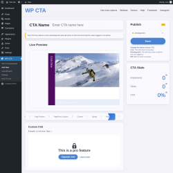 Page screenshot: WP CTA &rarr; Add New &rarr; CSS
