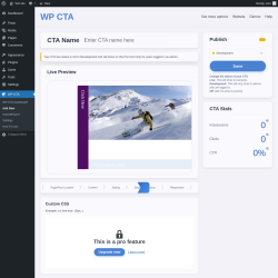 Page screenshot: WP CTA &rarr; Add New &rarr; CSS