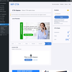 Page screenshot: WP CTA &rarr; Add New &rarr; CSS