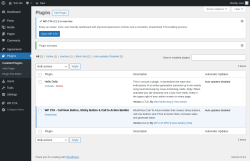 Page screenshot: Plugins &lsaquo; Test site &mdash; WordPress