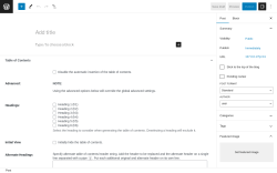 Page screenshot: Add New Post &lsaquo; Test site &mdash; WordPress