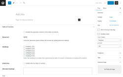 Page screenshot: Add New Post &lsaquo; Test site &mdash; WordPress