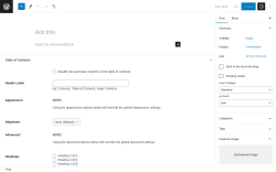 Page screenshot: Add New Post &lsaquo; Test site &mdash; WordPress
