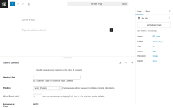 Page screenshot: Add Page &lsaquo; Test site &mdash; WordPress