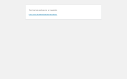 Page screenshot: WordPress › Error