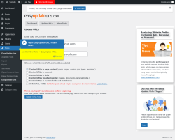 Page screenshot: Tools → Update URLs
