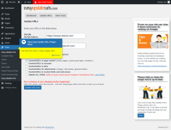 Page screenshot: Tools → Update URLs