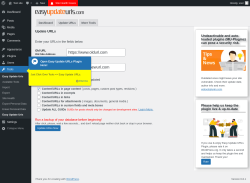 Page screenshot: Tools → Update URLs