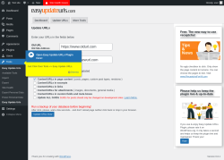 Page screenshot: Tools → Update URLs