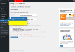 Page screenshot: Tools → Search/Replace