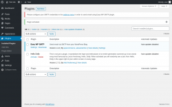 Page screenshot: Plugins &lsaquo; Test site &mdash; WordPress