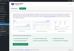 Page screenshot: Easy WP SMTP &rarr; Email Reports