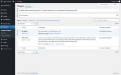 Page screenshot: Plugins &lsaquo; Test site &mdash; WordPress