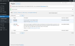 Page screenshot: Plugins &lsaquo; Test site &mdash; WordPress
