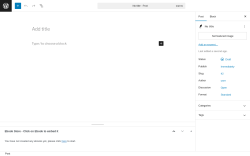 Page screenshot: Add Post ‹ Test site — WordPress