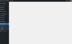 Page screenshot: ReelsWP &rarr; Settings
