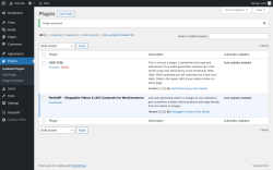 Page screenshot: Plugins &lsaquo; Test site &mdash; WordPress