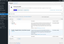 Page screenshot: Plugins &lsaquo; Test site &mdash; WordPress