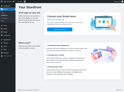 Page screenshot: Ecwid → Storefront