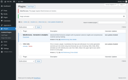 Page screenshot: Plugins &lsaquo; Test site &mdash; WordPress